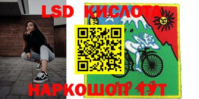 стафф Новодвинск