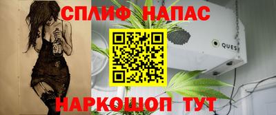 стафф Новодвинск