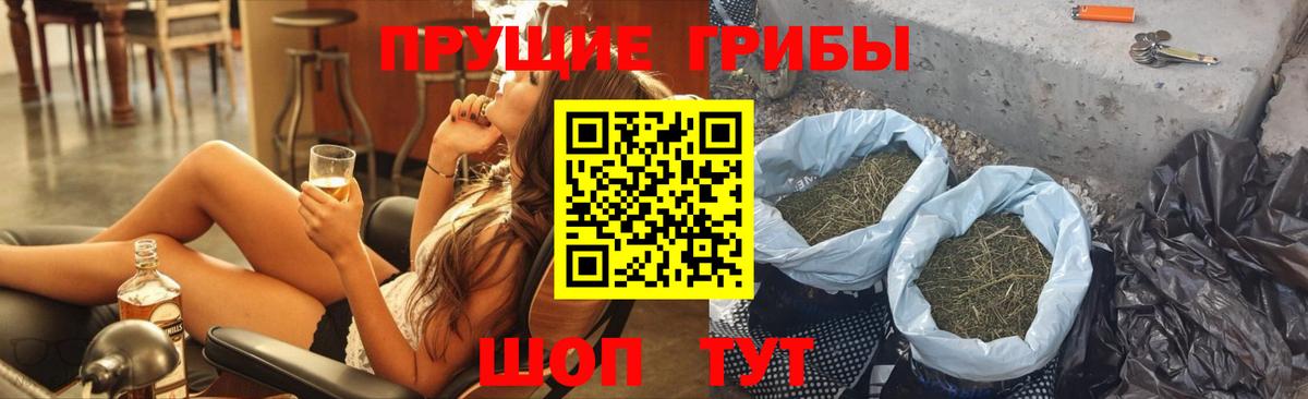 Псилоцибиновые грибы Cubensis  Вход с VPN  Пугачёв  Галлюциногенные грибы Cubensis 